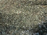 Mullein + Raspberry Leaf Healing Medicinal Quality Organic Herb Mix - 1 lb POUND