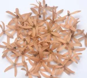 10 Dried Cute 3D Flowers Natural DIY FLORAL DECORATER Arts 5best Strength Petals