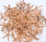 10 Dried Cute 3D Flowers Natural DIY FLORAL DECORATER Arts 5best Strength Petals