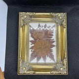Vintage Pressed Dried Flowers Under Glass w/ Frame Wall Art