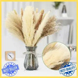 New Decorations 65Pcs Dried Natural Pampas Grass Home Bunch Wedding Reed Flowers