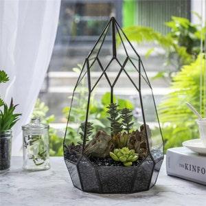 NCYP Irregular Open Geometric Glass Terrarium Tall Teardrop Succulents Planter Pot Miniature Dessert Landscape Bonsai Orchid Container