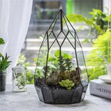 NCYP Irregular Open Geometric Glass Terrarium Tall Teardrop Succulents Planter Pot Miniature Dessert Landscape Bonsai Orchid Container