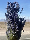dried lavender bundles (Oregon)