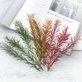 3Pcs Natural Pressed Dried Flower Melaleuca Leaves Soap Candle Making Decor DIY