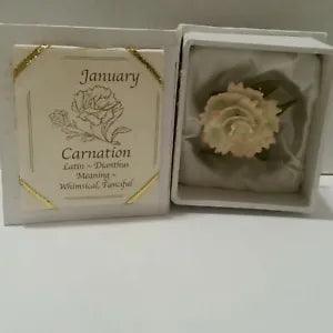 Roman Inc Birth Month Flower January Carnation God's Garden