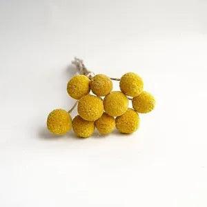 Eternal Flower Babysbreath Eucalyptus?Stems Billy Ball A-yellow-green-white