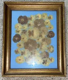 Vintage Framed Pressed Dried Flowers Pansies 17" X 14"