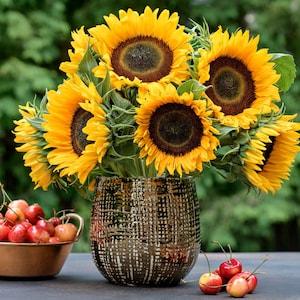 Organic Taiyo Sunflower Seeds, Japanese Taiyo Sunflowers, Large Taiyo Yellow Sunflowers, 50 Seeds // Organic, Non GMO, helianthus annuus