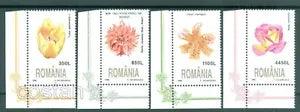 1998 Flowers, Dahlia ,Rose, Turk's cap lily, Tulip, Flora, Romania,Mi. 348,MNH/I