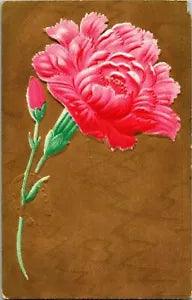 Postcard Embossed Pink Carnation Flower