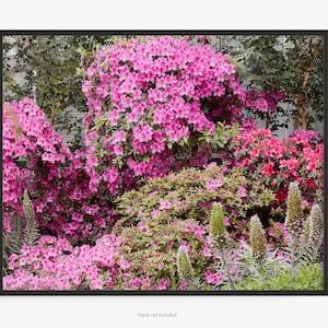 Field Of Flowers Photography Print, With Pink Orchid Azaleas, Rhododendron Phoenicia, Tower Of Jewels, Echium Wildpretii,  Art for Gratitude