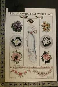 1912 FASHION WOMEN FLOWER VIOLET DAISY ROSE CARNATION DRESS GOWN BEAUTY AD SV68