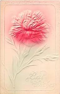 1909 Airbrushed Best Wishes Postcard of Pretty Carnation