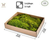 Preserved Flat Sheet Moss - Table Runner/Covering Soil and Dressing Potted Plant/Moss Art Wall /Gist Baskets/ Christmas decor, wreath