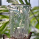 Clear Tall Slotted Orchid Pots | Round Heavy Duty Plastic | High Quality | Great For Aeration & Drainage | Healthy Roots | 6??? 5??? 4???