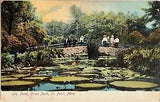St Paul Como Park People on Lily Pond Bridge Minnesota Antique Postcard c1900