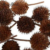 Rustic Country Natural Dried Flowers Fruits Home Accents Events Table Ornaments