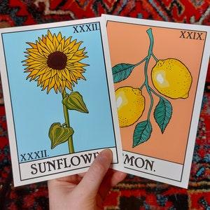 Sunflower Tarot Art Print ?C French or English