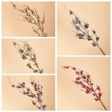 New 1Pcs Home Floral Arrangement Materials Holly Berry Dry Flower Branch Planted