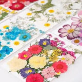 1 Bag Of Dried Flowers UV Resin Decorative Natural Flower Stickers Dry...