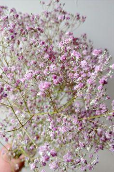 Dried pink gyp Flower Delivery