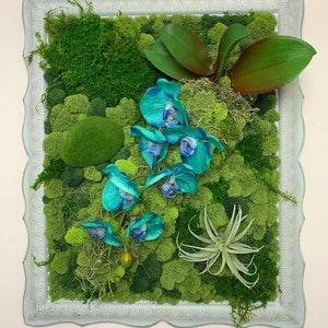 Moss Wall Art- with orchids & air plant