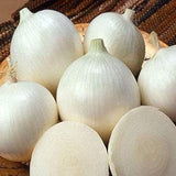 100 Seeds-Organic White Onion-ALLIUM CEPA--ALIBABA-Z056