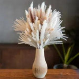 Dried Pampas Grass Decor PCS Dried Flowers Arrangements Contains 115 115pcs
