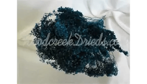 NATURAL AIR DRIED DYED NAVY BLUE BROOM BLOOM - FLORAL FOLIAGE FILLER