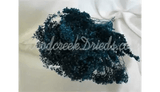 NATURAL AIR DRIED DYED NAVY BLUE BROOM BLOOM - FLORAL FOLIAGE FILLER