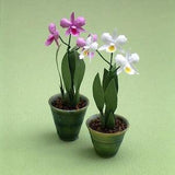 Cattleya Orchid Paper Flower Kit  for 1/12th scale Dollhouses, Florists and Miniature Gardens