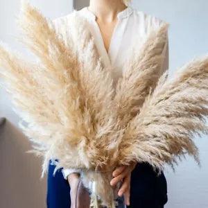 Large Pampas Grass Dried Flowers Bouquet Decors And Wedding Fleurs Maison Gifts
