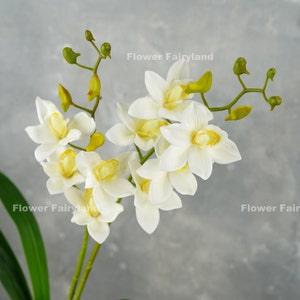 Faux Cymbidium Hybrid Orchid | High Quality Artificial Flower | DIY Floral | Wedding/Home Decoration | Gifts - White