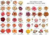 Vip Roses assortment Flower Delivery