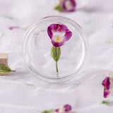 12PCS real Pressed dry Flower, 2 natural colors flower for art craft FSS09