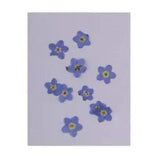 10pcs Pressed Real Dried Flowers  for Resin Ornament Jewelry Making