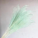 pampas grass decor dried natural flowers bouquets wedding pink white color