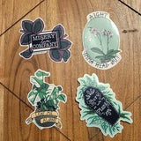 Plant Sticker Pack | Calathea Sticker | Monstera Sticker | Orchid Sticker | Bury Me With My Plants Sticker