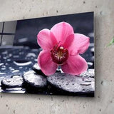 Pink Orchid Wall Art Floral SPA Salon Decor Nature Lover Gift Zen Stones And Water Drops Glass Meditation Room Decor
