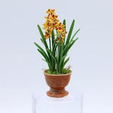 Leopard Orchid (Three Spikes) ??C Dollhouse Miniature Plant ??C Handmade in NYC, 1:12 Scale