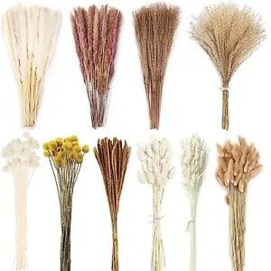 PCS Natural Dried Pampas Grass Bouquet 11 Various Dried Flowers Boho Home 400