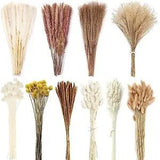 PCS Natural Dried Pampas Grass Bouquet 11 Various Dried Flowers Boho Home 400