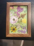Framed Pressed Flowers 4"??6"(Handmade) Collage Rose Hydrangea Wild Flowerr