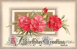 1911 Winsch Birthday Postcard of Beautiful Carnations