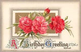 1911 Winsch Birthday Postcard of Beautiful Carnations