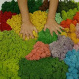 10g Natural Reindeer Moss Dried Flowers Craft Preserved Flowers Home Decorations