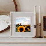 Sunflower sunset photography art print, Botanical wall art, Bedroom wall decor, Colorful wall art, Flower photography, Inspirational gift
