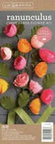 Crepe Paper Flower Kit  Ranunculus