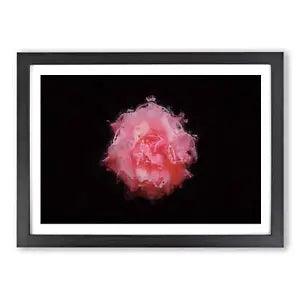 Lone Pink Carnation Framed Wall Art Poster Print Home Decor Picture Large
